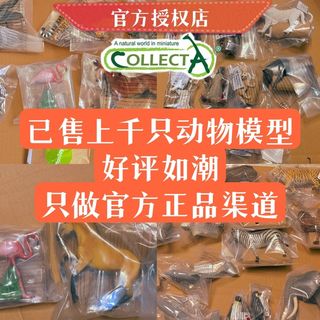 你我他 英国collecta动物模型大象玩具熊猫儿童玩具生日礼物