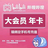 哔哩哔哩大会员12个月B站12个月哔哩哔哩年卡 哔哩哔哩年卡