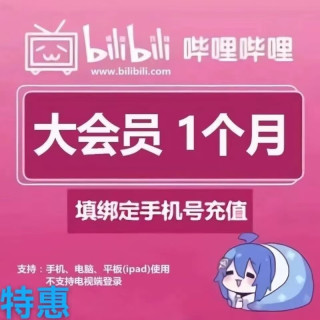 哔哩哔哩会员1个月 月卡bilibili会员B站大VIP会员月卡 哔哩哔哩会员月卡直充一次性到账【报价 价格 评测 怎么样】 -什么值得买