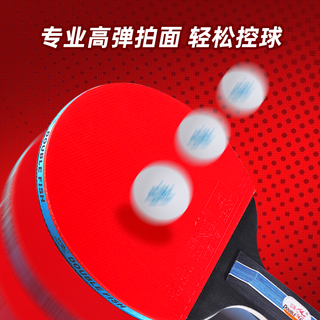 DOUBLE FISH 双鱼 乒乓球拍双拍长短柄直拍横拍儿童小学生专用2只套装初学者31