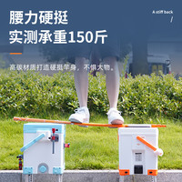 JIADIAONI 佳钓尼 碳素抄网杆套装