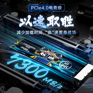 FANXIANG 梵想 S790C NVMe M.2 固态硬盘 2TB（PCI-E4.0）