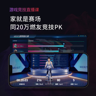 MERACH 麦瑞克 动感单车家用竞速配置智能磁控运动健身器材室内自行车 MR-S02W1