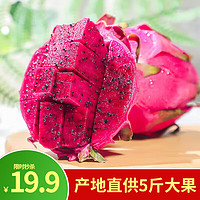 念味鲜 国产红心火龙果5斤大果(单果300-400g)新鲜水果蜜宝红肉火龙果