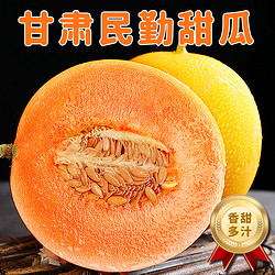 [西沛生鲜]甘肃民勤甜瓜 蜜瓜 净重4.5-5斤 2-3个装 香甜可口 新鲜水果应季