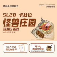 梦想舍 肉桂哥斯达黎加厌氧日晒浅烘焙手冲精品咖啡豆阿拉比卡120g