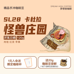 Dream High Coffee 梦想舍 肉桂哥斯达黎加厌氧日晒浅烘焙手冲精品咖啡豆阿拉比卡120g