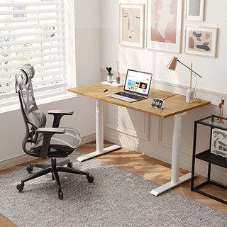 乐歌智能家居 E6电动升降办公书桌 双电机银灰色桌腿 白色桌板1.2*0.6m