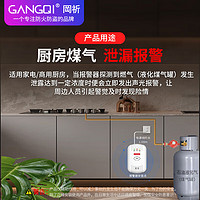 GANGQI 岡祈 YJ-616 煤气罐液化石油气燃气报警器 居家用厨房燃气泄漏感应探测 非天然气报警器