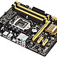 ASUS 华硕 B85M-G - Intel B85 - 主板 - Sockel LGA1150