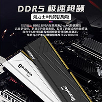 SAMNIX 新乐士 DDR5 5600-7200台式机内存条狂刃战士海力士A-die超频游戏 32G（16Gx2）6800 C34/XMP黑