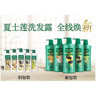 夏士莲 黑亮滋养去屑洗发水 750g