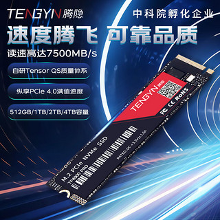 TENGYIN 腾隐 精选长江存储晶圆台式SSDPCIe4.0 NVMe TP4000PRO 4TB 7500MB/S