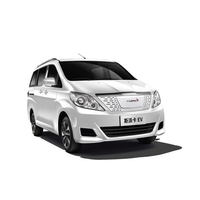 yemaauto 野马汽车 斯派卡EV 22款 尊享型