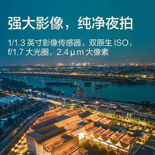 大疆 DJI Mini 3 Pro 标准遥控器版 Pro 级迷你航拍机 智能高清专业航拍器+随心换1年版实体卡+128G内存卡