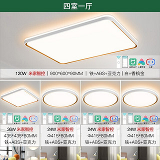 led吸顶灯 全屋智能四室一厅（限15分钟）