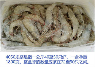 厄瓜多尔白虾4050/3040/2030皇冠1.8kg 进口海虾冷冻对虾明虾大虾