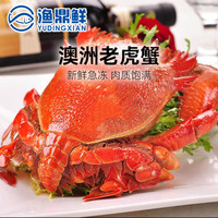 澳洲熟冻老虎蟹600-700g/只肉质白皙鲜美旭蟹咖啡蟹满满2份包邮