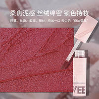 VEECCI 唯资 雾面哑光唇釉唇泥不易沾杯显白持久平价口红唇雾女