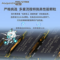 Asgard 阿斯加特 吹雪32g ddr5 6000 6400 6800台式机内存条RGB灯条