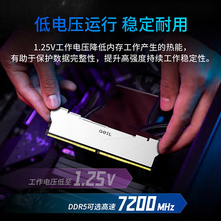 GeIL金邦 32GB(16GBX2)套装 DDR5 5600 台式机电脑内存条 巨蟹马甲条系列白色C38