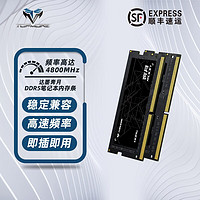 TOPMORE 达墨 奔月DDR5笔记本内存条16G 48G 4800频率大容量内存条