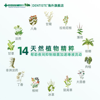 DENTISTE '丹师特薄荷牙膏持久清新口气去黄口臭异味通用泰国进口