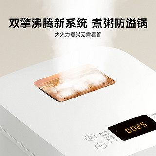 Xiaomi 小米 MIJIA 米家 Xiaomi 小米 others 其他 米家 电饭煲C1 PRO 4L