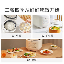 WAHIN 华凌 WH-FB565R 电饭锅 黑玉聚能釜 5L