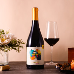 borgono博戈里奥神车珍藏黑皮诺干红葡萄酒750ml单支