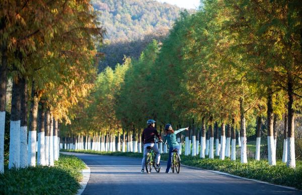 活久见！3位数的裸心，秋天去看红叶刚好！南京裸心岭度假村  森林小屋1晚