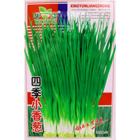 四季小香葱种头蔬菜葱种籽火葱红头葱种子苗阳台盆栽葱苗小葱种孑 华煜四季小香葱种子(约1500粒)