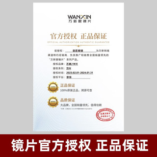 目匠超轻纯钛近视眼镜中小框瘦脸防蓝光辐射男女款架时尚可配近视 银色-s1899 防蓝光配镜（1.56防蓝光镜片）