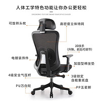 菲迪-至成 人体工学椅电脑椅子  F182-01-黑+海绵座垫