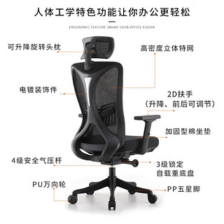 菲迪-至成 人体工学椅电脑椅子家用办公座椅