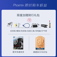 PHOENIX凤凰锂电池48v电动自行车29寸男女士成人电动车助力电瓶车电单车