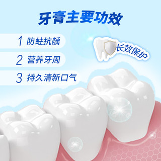  三七 防蛀固齿 三七牙膏  清火护龈 180g*1支