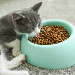 网易严选 无谷 猫粮1.5kg*3