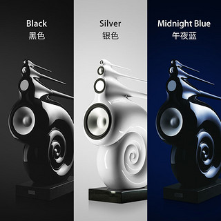 宝华韦健 BOWERS & WILKINS 宝华韦健 Nautilus 鹦鹉螺