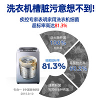 Texlabs 泰克斯乐 洗衣机槽清洁剂滚筒清洗剂500ml*2强力除污垢除菌除异味