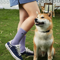 New Balance NB官方奥莱 女子春季百搭休闲校园时尚帆布鞋板鞋212