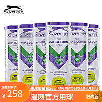 Slazenger 史莱辛格 网球温网用球铁罐/胶罐训练比赛豹子球铁罐三粒装/6筒