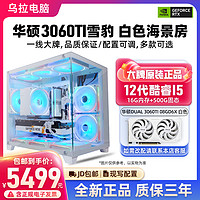 ASUS 华硕 乌拉电脑 DIY主机（i5-13490F、16GB、500GB、RTX 4060）