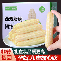 千狮山 云南西双版纳拇指玉米即食香糯小手指白糯玉米新鲜现摘儿童玉米棒