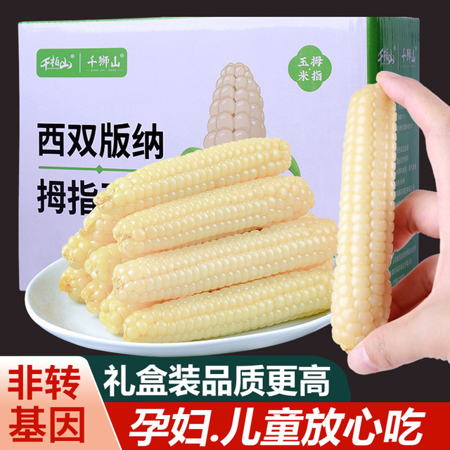 千狮山 云南西双版纳拇指玉米即食香糯小手指白糯玉米新鲜现摘儿童玉米棒