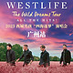  多少人的青春回忆！Westlife西城男孩演唱会广州站门票2张+酒店1晚含双早　