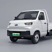 Karry 开瑞汽车 小象EV 23款 251km 仓栅车豪华型