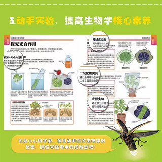 DK图解中学化学+中学生物学全4册初中通用对应初中高中教材紧贴新课标瞄准中高考课堂之外的超强辅助轻松学会化学生物