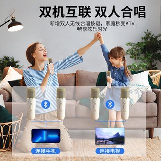 EARISE/雅兰仕K歌麦克风无线蓝牙音响多功能TV话筒便携式迷你神器