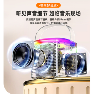 EARISE/雅兰仕K歌麦克风无线蓝牙音响多功能TV话筒便携式迷你神器
